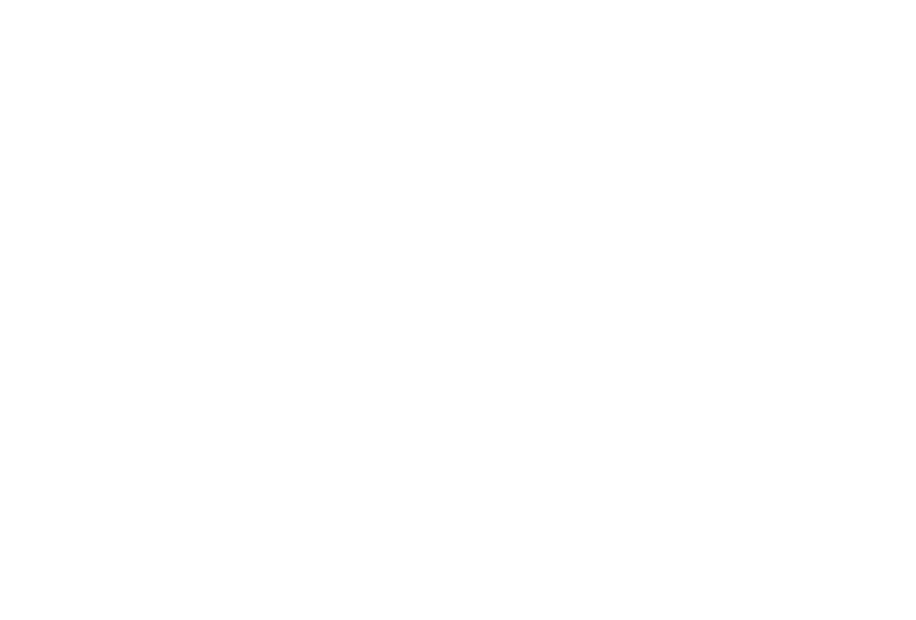 Grupo paragon